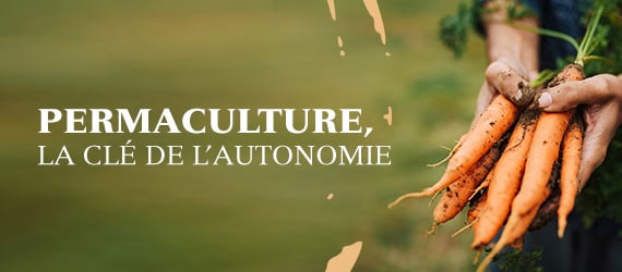 Permaculture, la clé de l'autonomie