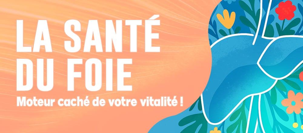 Un foie en santé